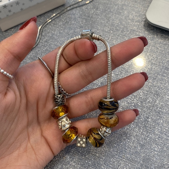 Pandora Jewelry - charm bracelet